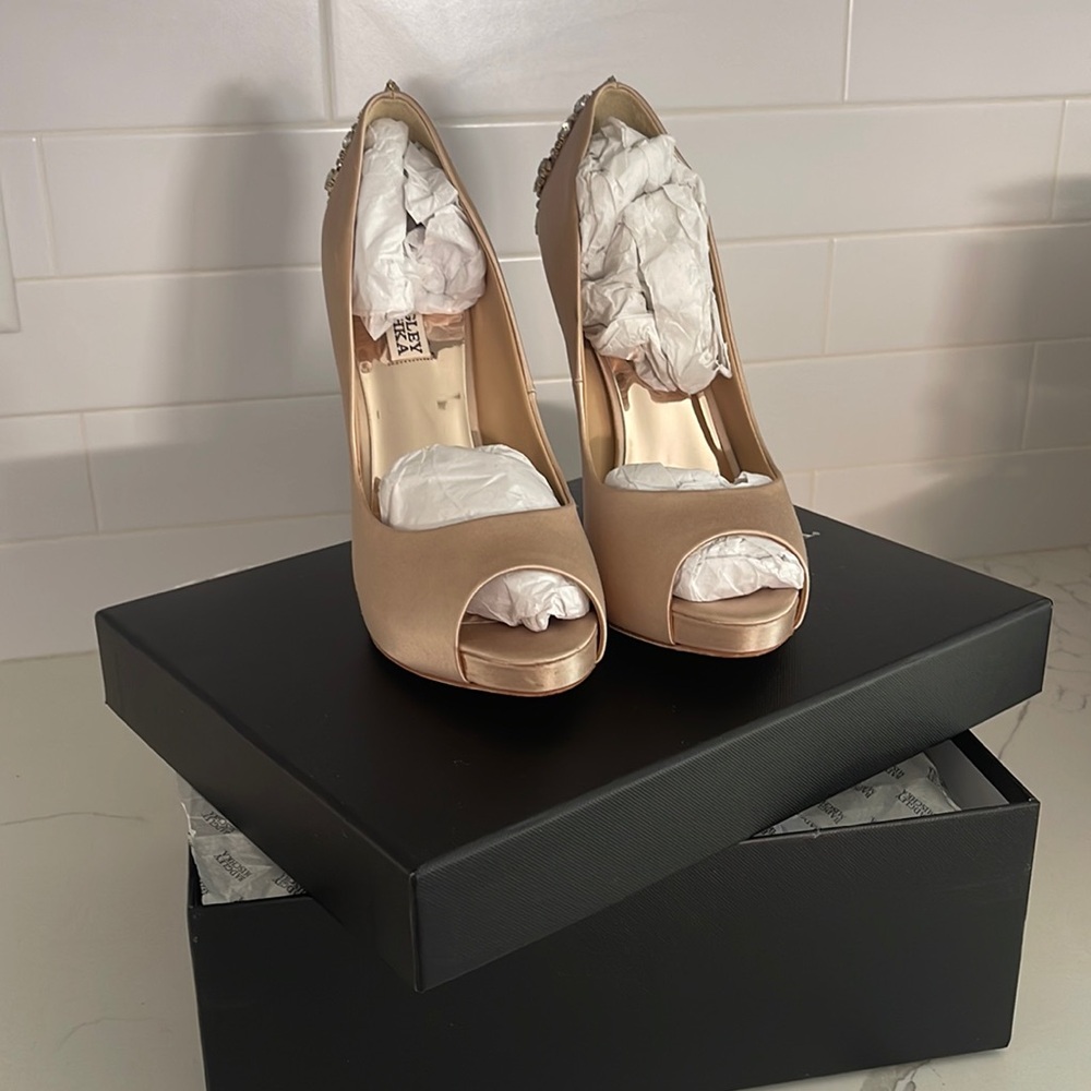 Badgley Mischka Pumps